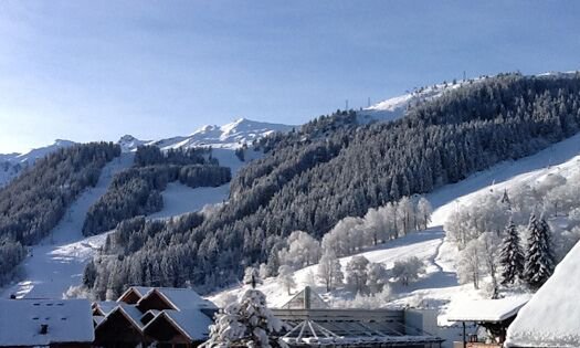 The beautiful mountain view from Chalet Montee in Meribel