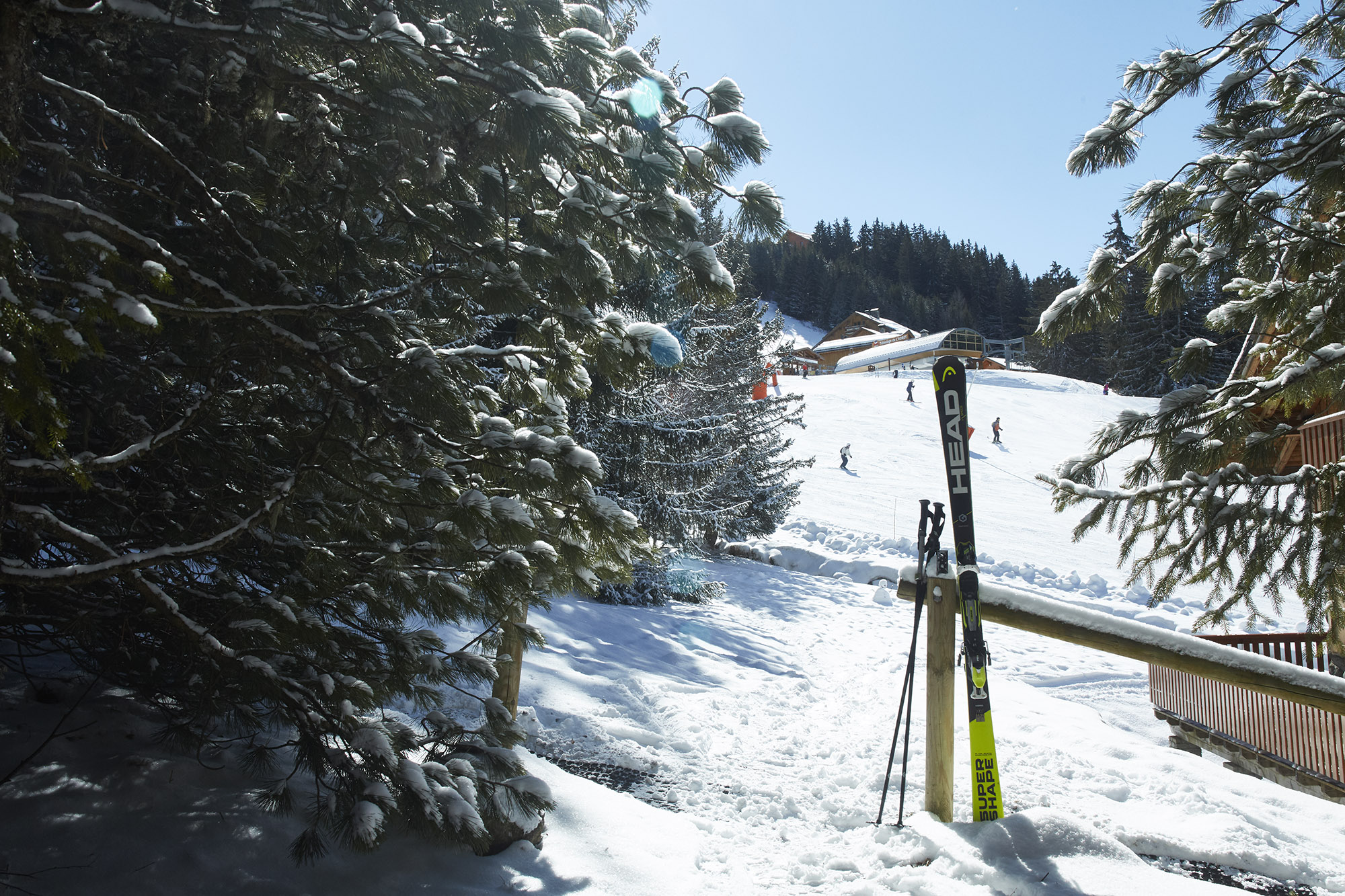 Chalet Les Bartavelles piste view