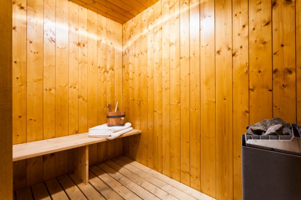 Chalet Serpolet Sauna
