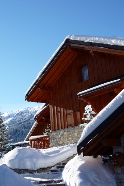 Chalet Serpolet Meribel