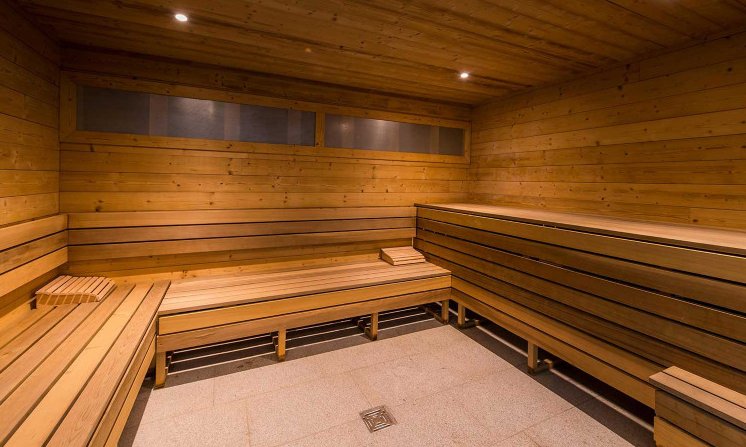 Chalet Gemini Sauna