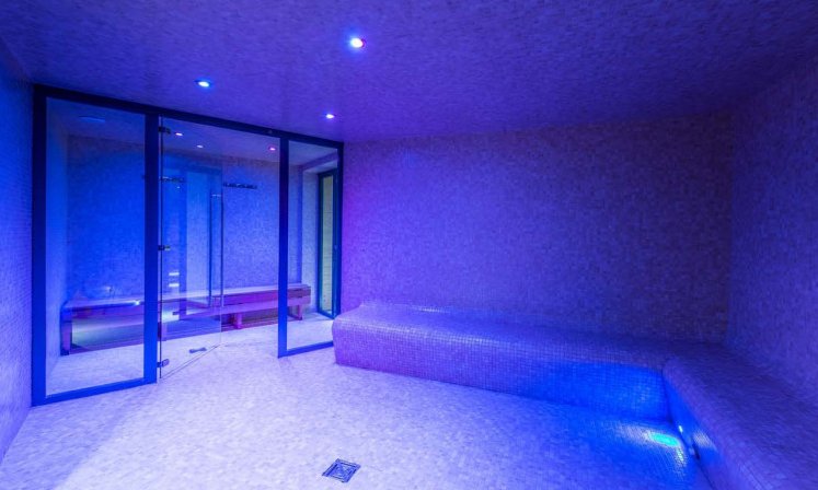 Chalet Milo Complex Steam Room