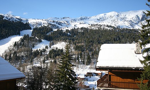 Apartment Squaw Valley 3 View