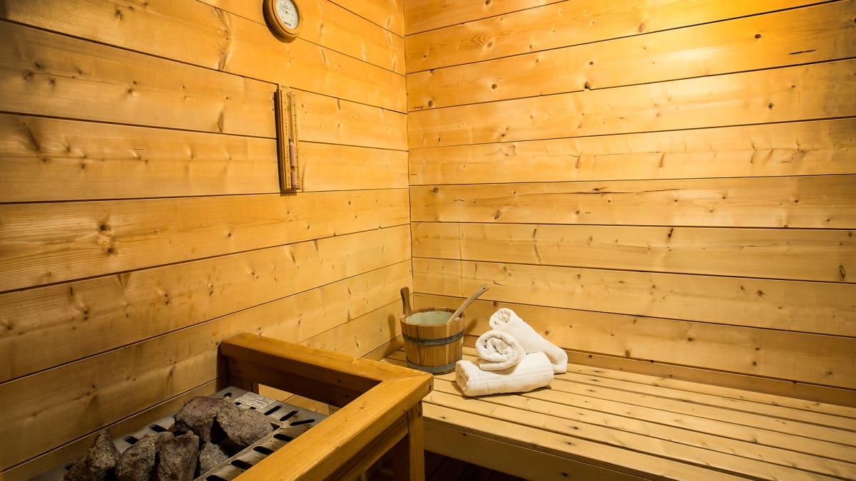 Chalet Vallon Blanc Sauna
