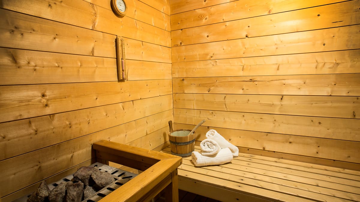 Chalet Vallon Blanc Sauna