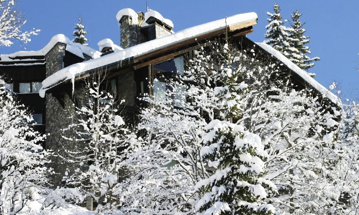 Chalet Les Grands Sorbiers Meribel