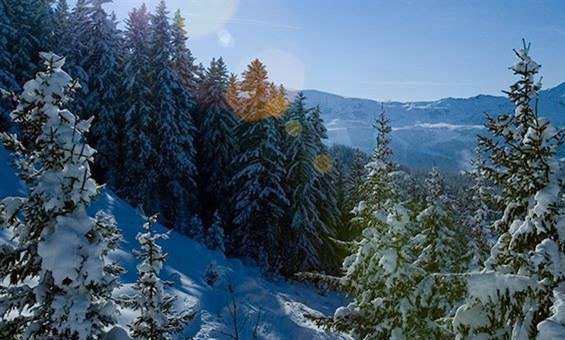 Chalet Loden Meribel View