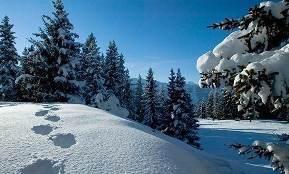 Chalet Loden Meribel Ski Holidays
