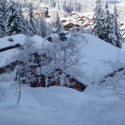 Chalet Beriozka in the snow