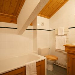 Chalet Bruyere Bathroom