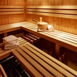 Chalet Panda Sauna