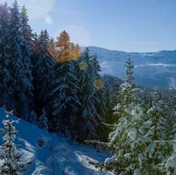 Chalet Loden Meribel View