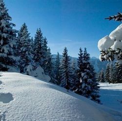 Chalet Loden Meribel Ski Holidays