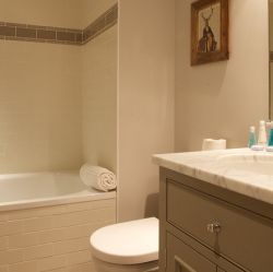 Chalet Pasarale Bathroom