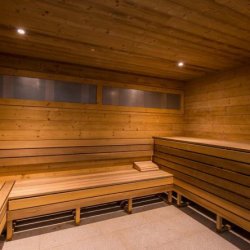 Chalet Aries sauna