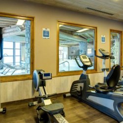 Chalet Clementine Gym