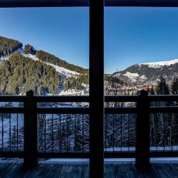 Chalet Estrella Balcony and View