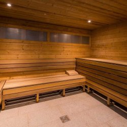 Chalet Gemini Sauna