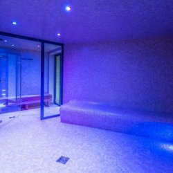 Chalet Libra Steam Room