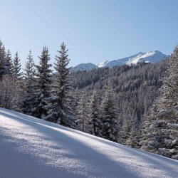 Courchevel Snow