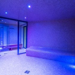 Chalet Milo Complex Steam Room