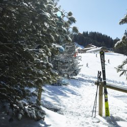 Chalet Les Bartavelles piste view