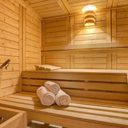 Chalet Laetitia sauna