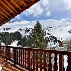 Chalet Leopold Balcony and View