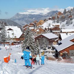 Chalet Refuge Boua in Meribel