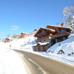 Chalet Virage in Méribel