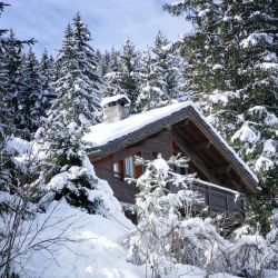 Chalet Vallon Blanc La Tania