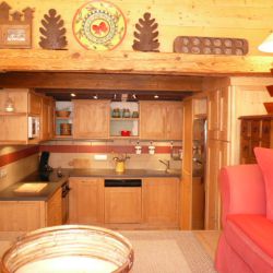 Open plan Kitchen in apartment Petaru Meribel