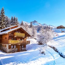 Chalet Veronica, Meribel