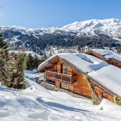 Chalet La Varappe in Meribel