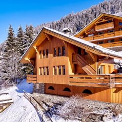 Chalet Pasarale in Meribel