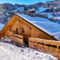 Chalet Pasarale in Meribel