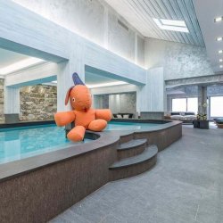 The Swimming pool at Hotel La Chaudanne Meribel