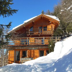 Ski in ski out Chalet La Fugue in Meribel