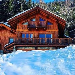 Ski in Ski Out Chalet Evergreen, Meribel