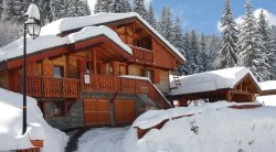 Chalet Beriozka La Tania 