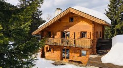 Chalet Nid Alpin La Tania