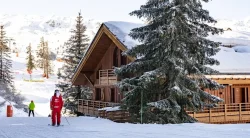 Ski in Ski out Chalet Foret in Meribel