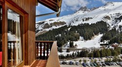 Chalet Leopold Balcony and View