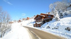 Chalet Virage in Méribel